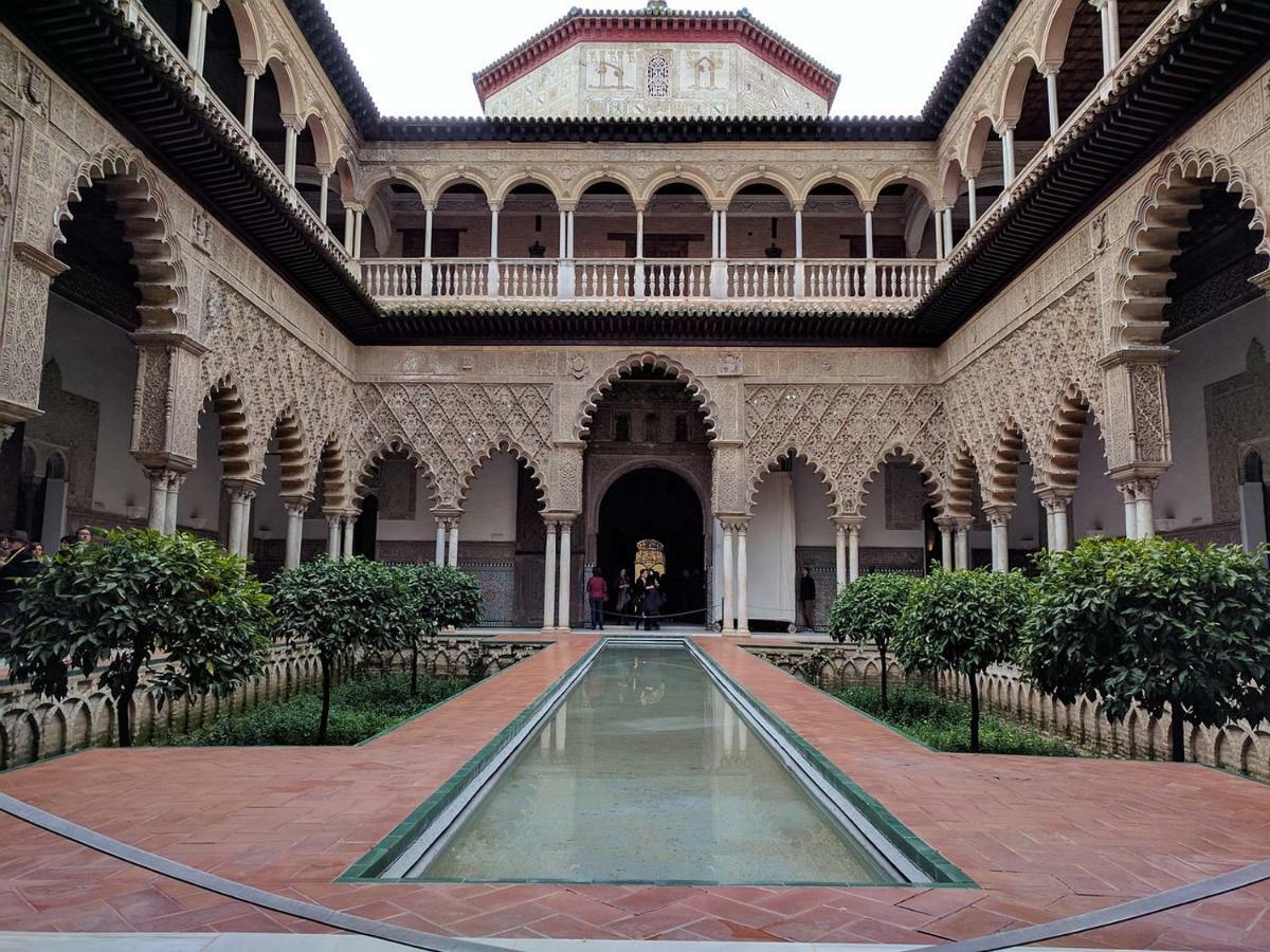 Apartment Museo *